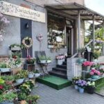 Kwiaciarnia Zielona Oliwka