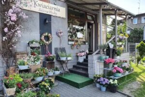 Kwiaciarnia Zielona Oliwka