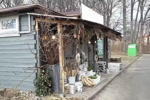 Kwiaciarnia Zielona Oliwka Marzena Bachór