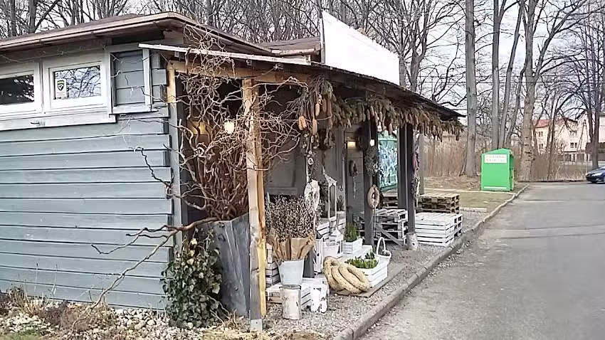 Kwiaciarnia Zielona Oliwka Marzena Bachór