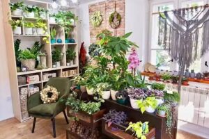 Kwiaciarnia Zielone badyle