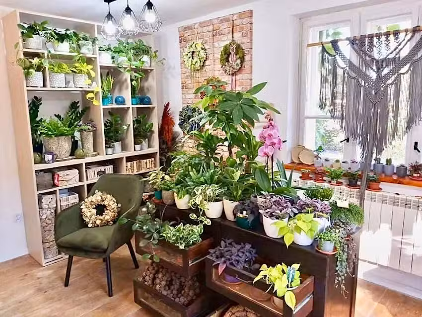 Kwiaciarnia Zielone badyle