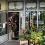 Kwiaciarnia Zielono Mi