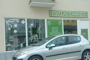 Kwiaciarnia Zielony Kącik