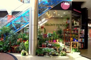 Kwiaciarnia 'Zielony Ogród’ – Galeria Jasło
