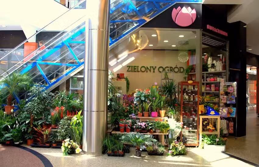 Kwiaciarnia 'Zielony Ogród’ – Galeria Jasło