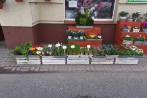 Kwiaciarnia „Zielony Zakątek”