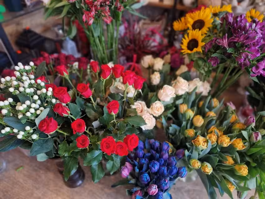 Kwiaciarnia Zielony Zakątek