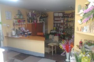 Kwiaciarnia Zińczuk Urszula