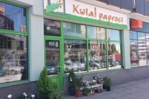 Kwiat Paproci. Kwiaciarnia