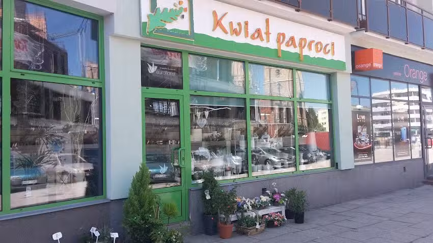 Kwiat Paproci. Kwiaciarnia