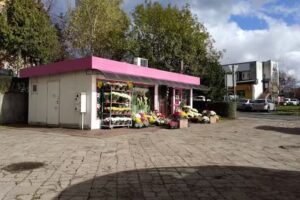 Kwiatex. Kwiaciarnia