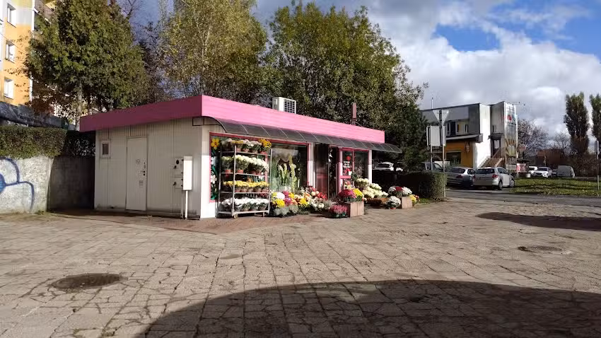 Kwiatex. Kwiaciarnia