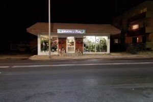 Kwiatki u Patki Patrycja Ratajek