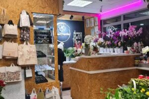 KWIATKOWNIA Dorota Danielewicz