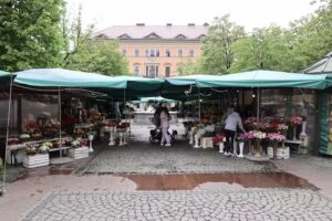 Kwiatowa przystań Anna Nowicka Plac Solny stoisko 14