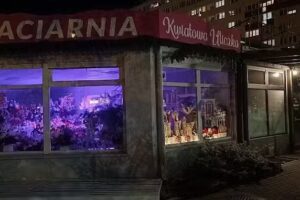 Kwiatowa Uliczka Weronika Kopyściańska