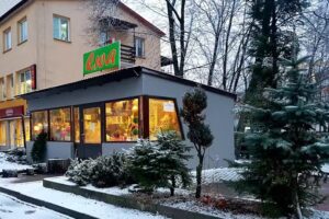 Kwiatowe Detaliki – Monika Całka (Kwiaciarnia Ewa)