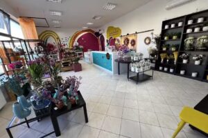 Kwiaty Brokaty Maria Warylewska – kreatywna pracownia florystyczna