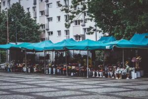 Kwiaty – Grzegorz Muchorowski