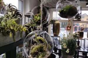 Kwiaty i dekoracje Warszawa