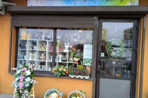 Kwiaty Liście Badyle