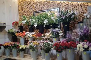 Kwiaty na każdą okazję