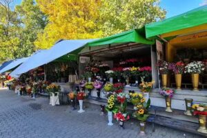 Kwiaty „Na Murku”