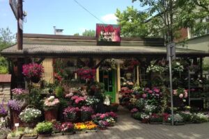 Kwiaty u Agaty / Haga Oriental