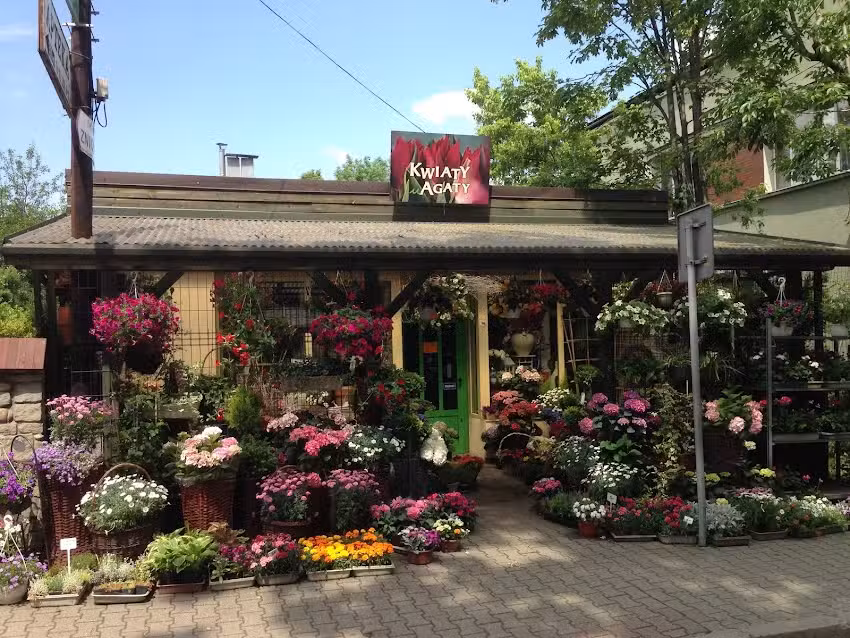 Kwiaty u Agaty / Haga Oriental