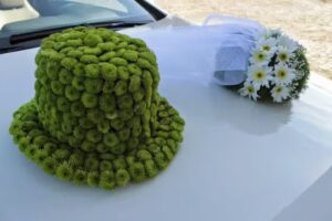 Kwiaty u Beaty. Wietrzyk B.