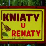 Kwiaty u Renaty