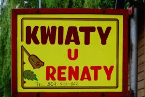 Kwiaty u Renaty