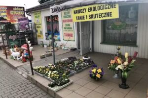 Kwiaty Wieńce art. Dekoracyjne Sobkowiak T.Z.