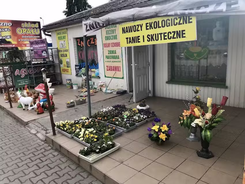 Kwiaty Wieńce art. Dekoracyjne Sobkowiak T.Z.