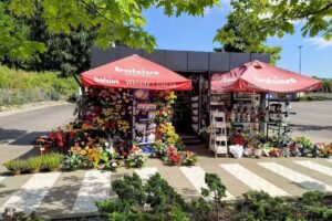 Kwiaty żywe i sztuczne