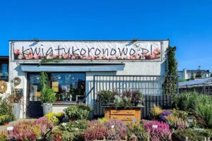 KWIATYKORONOWO.PL KWIATY & WiNO