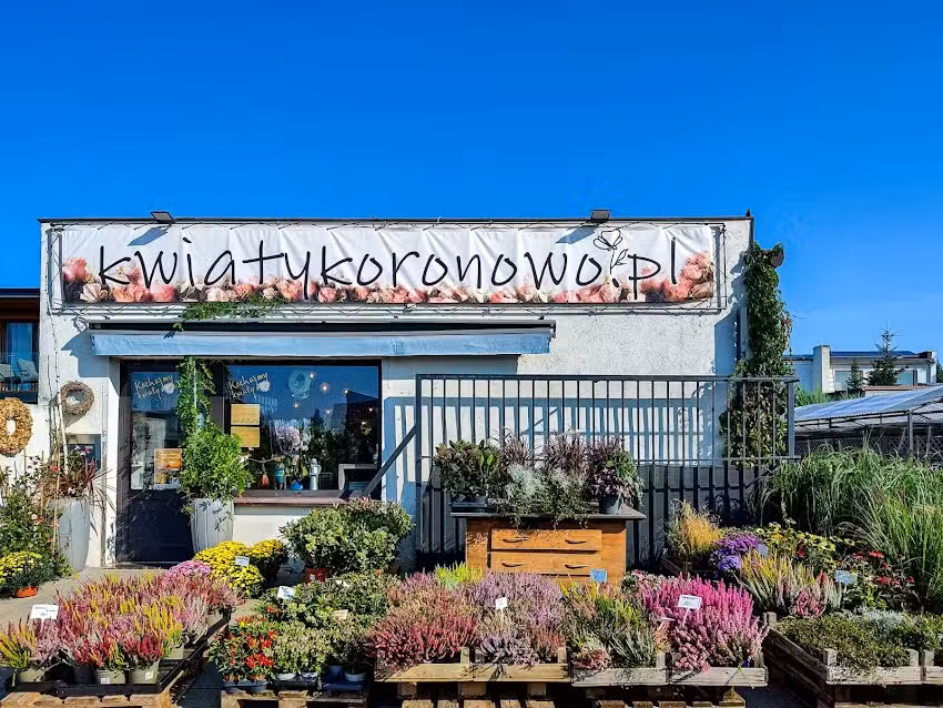 KWIATYKORONOWO.PL KWIATY & WiNO