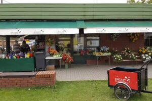 KWIATYnaPOGRZEB.pl Piotr Pyźlak