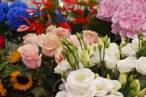 La Fiore Kwiaciarnia