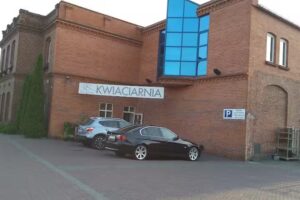 La Flor – Aneta Komorowska