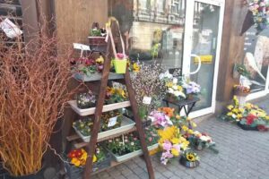 Lawendowy Kredens Kwiaciarnia