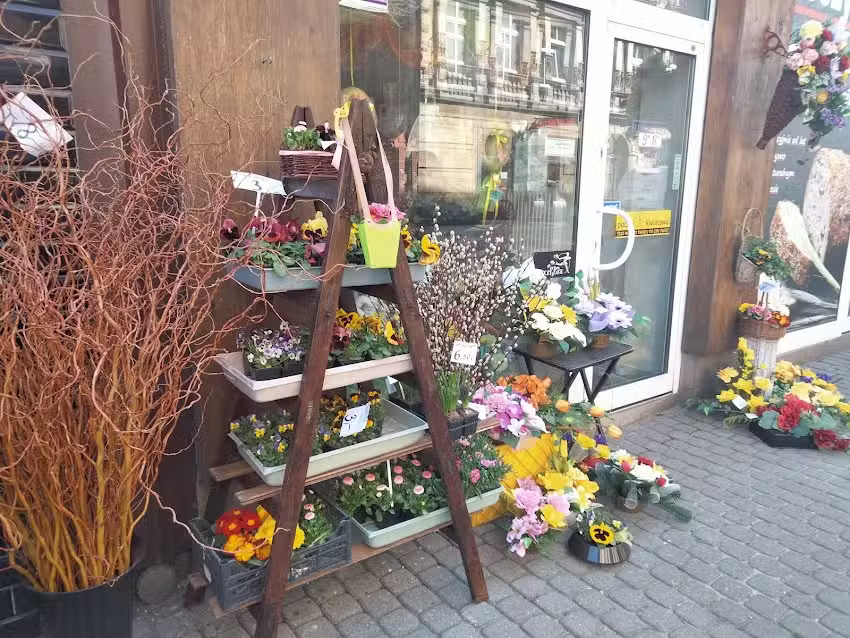 Lawendowy Kredens Kwiaciarnia