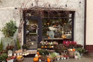 lawendowy ogród pracownia florystyczna