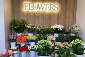 Lipińscy Flowers Marika Lipińska