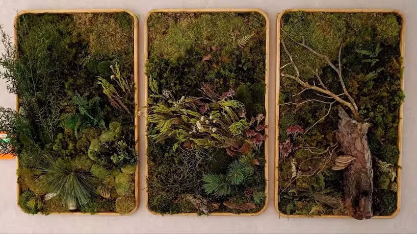 Liraverde Pracownia sztuki roślinnej