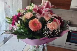 Lisieccy. Firma ogrodnicza