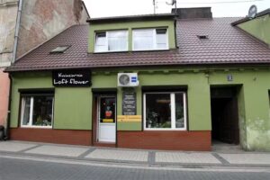 Loft Flower – Kwiaciarnia Lipno Poczta kwiatowa