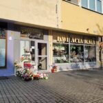 Magnolia. Kwiaciarnia