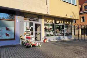 Magnolia. Kwiaciarnia